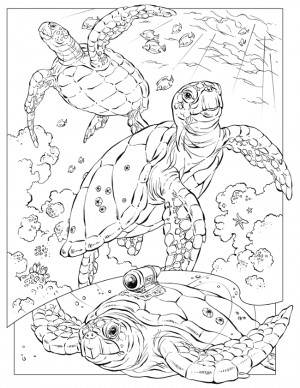 ... Leatherback Sea Turtle color page Animal coloring pages gallery