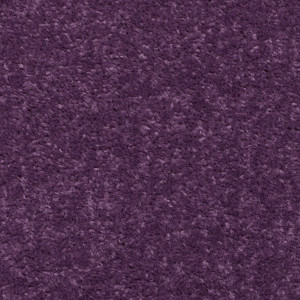 Purple Carpet