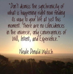 There are no coincidences! #quotes Neale Donald Walsch
