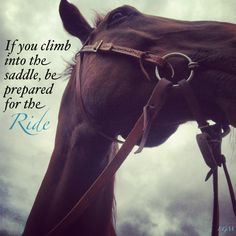 horse quote ride more horses leaves equestrian quotes things horses ...