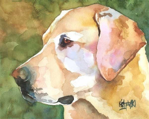 Yellow Lab watercolor