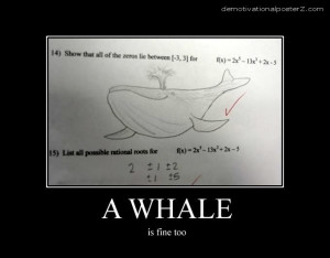whale is fine too - math test motivational poster
