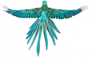 Back > Gallery For > Bohemian Tumblr