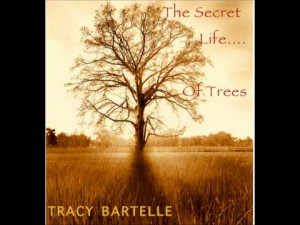 THE SECRET LIFE OF TREES