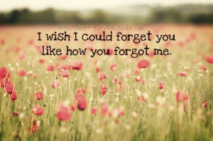 wish+i+could+forget+you+like+how+you+forgot+me.jpg