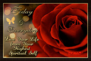 Much Love to All ~ Tara *~*