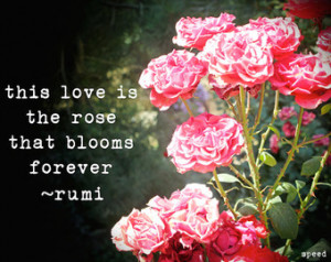 The Rose Rumi Rose Portrait Quote, Spring Decor, Large Wall Art Large ...