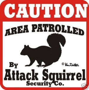 Squirrel Attack Signs More Attack Signs Available For Sale - New and ...