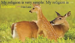 Kindness, Quite Simply, Is The Rent We Must Pay For The Space