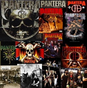 Credited Blog Pantera