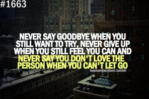 feel, give up, goodbye, let go, love, never, never give up, never say ...