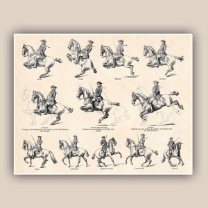 English Horseback Riding Quotes Horse riding school print