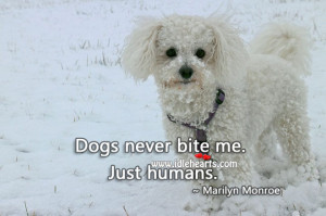 Home » Quotes » Life Quotes » Dogs Never Bite Me. Just Humans.