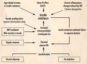 Insulin resistance medical condition