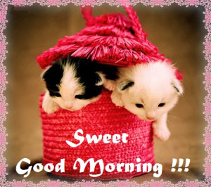 Previous Pics Next Pics