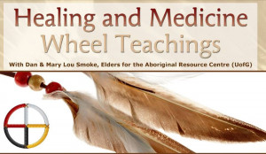 download this Medicine Wheel Teaching Circle Transition ...