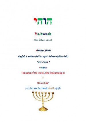 wise grasshopper quotes