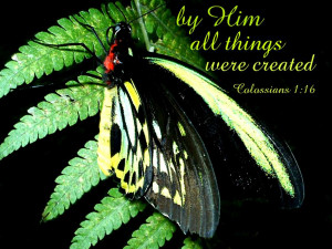 butterflies bible verses
