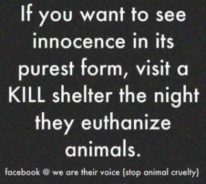 Via Animal Allies Rescue Foundation (AARF)