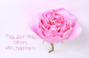 Uploaded to Pinterest