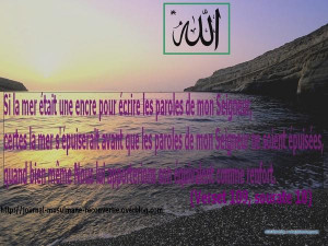 Localisation: Saint-Etienne