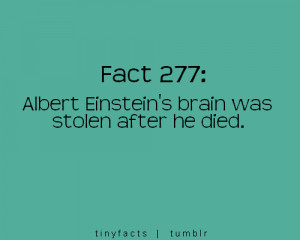 Fact Quote : Albert Einstein’s brain was stolen after he died.