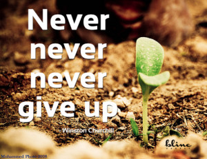 Never never never give up. - Winston Churchill