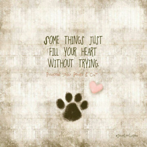 paw print ♡ heart ♡ quote