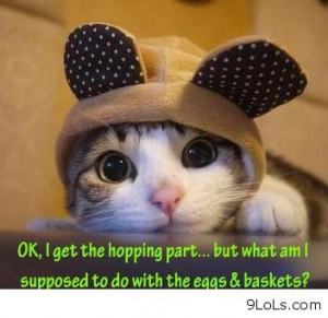 Funny Easter Cat...