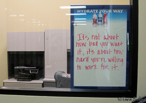 ChiWomensHalf Training Update, Week 2