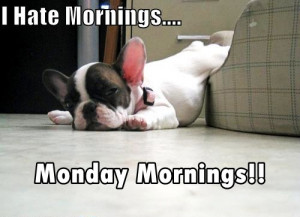 Hate Monday Mornings!!!!