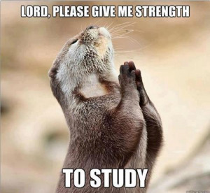 Lord Please Give Me The Strength To Study