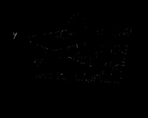 ... your friends because they are the most precious things in the world