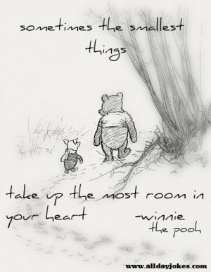 Sometimes+the+smallest+things+take+up+the+most+room+in+your+heart.jpg