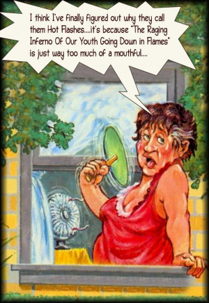 hot flashes humor
