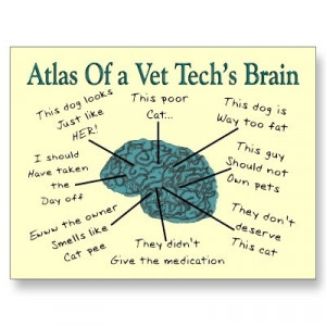 Vet Tech brain, true story.