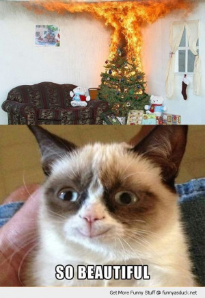 angry grumpy cat lolcat animal happy smiling buring fire xmas ...