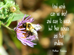 ... words about kindness will scatter those kindness seeds far and wide