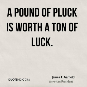 pound of pluck is worth a ton of luck.