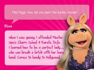 ... Most Wanted, The Muppets, Kermit the Frog, Miss Piggy, Media Products