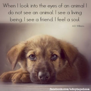 Inspirational Animal Rescue Quotes Pinned by adopt-a-pet.com