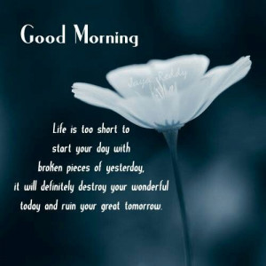 Pinned by Nitza Marin