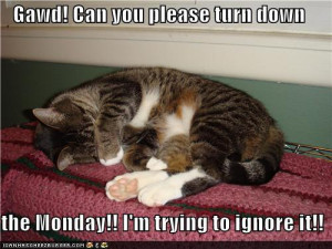 funny-pictures-gawd-can-you-please-turn-down-the-monday-im-trying-to ...