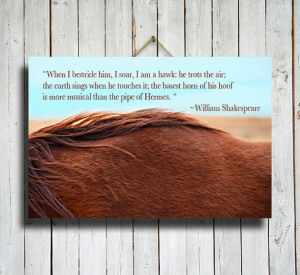 Red Mane - Horse photography - Horse Quote - Horse Fine Art ...