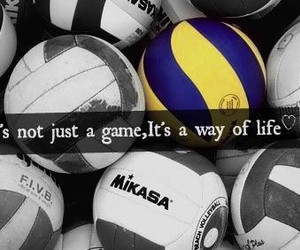 in collection: volleyball is life!