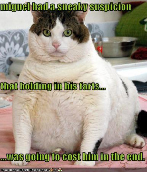 funny-pictures-fat-cat-holds-farts3.jpg