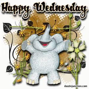 Wednesday Elephant quote
