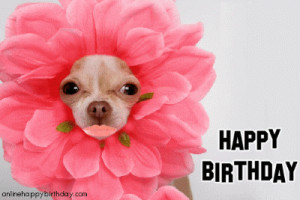 HAPPY BIRTHDAY DINKY!!