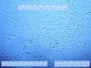Rain Branch Drop Image Favim