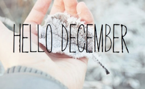 hello december | Tumblr